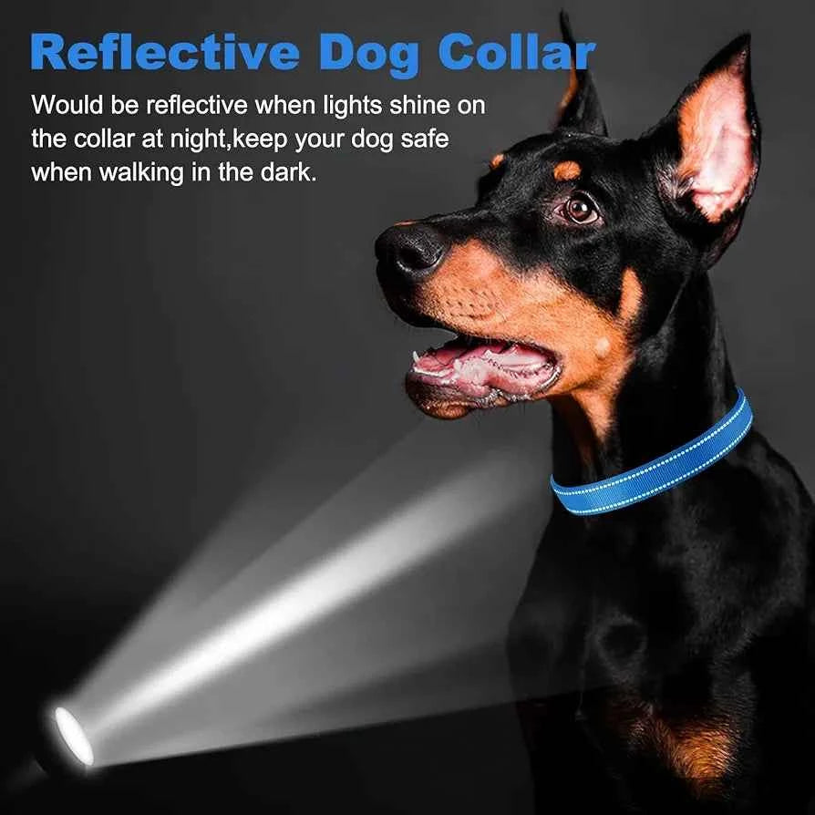 PcEoTllar Soft Dog Collar, Reflective, Nylon Neoprene Padded, Adjustable with Tag